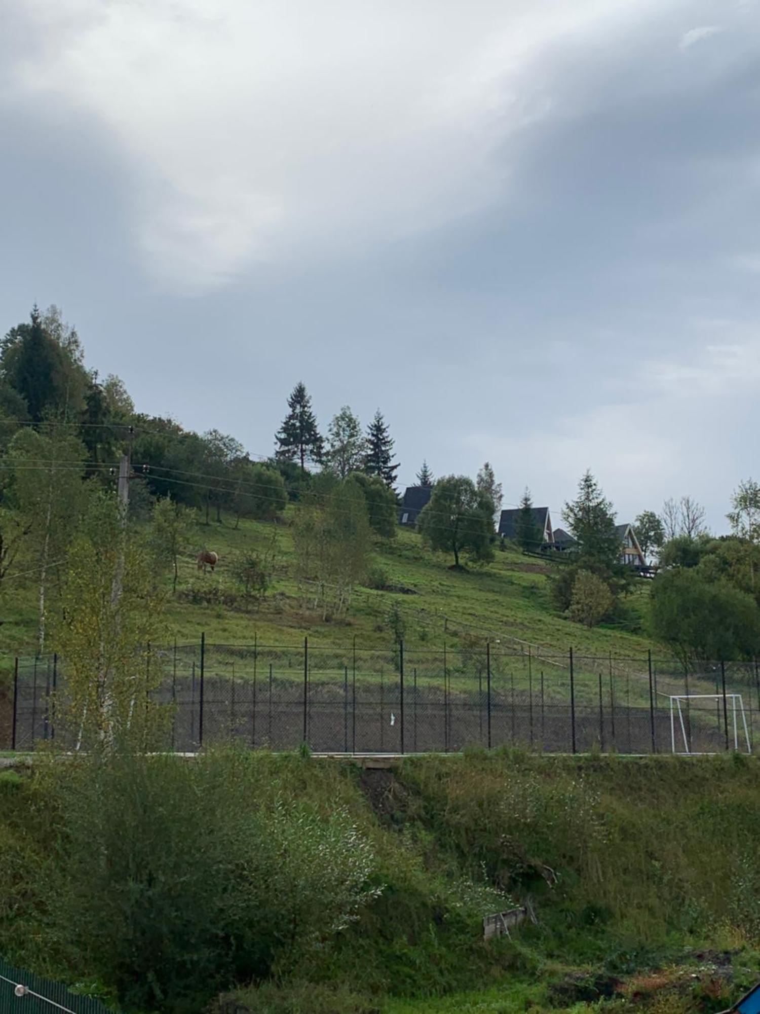 Аура Карпат Villa Slavske Bagian luar foto