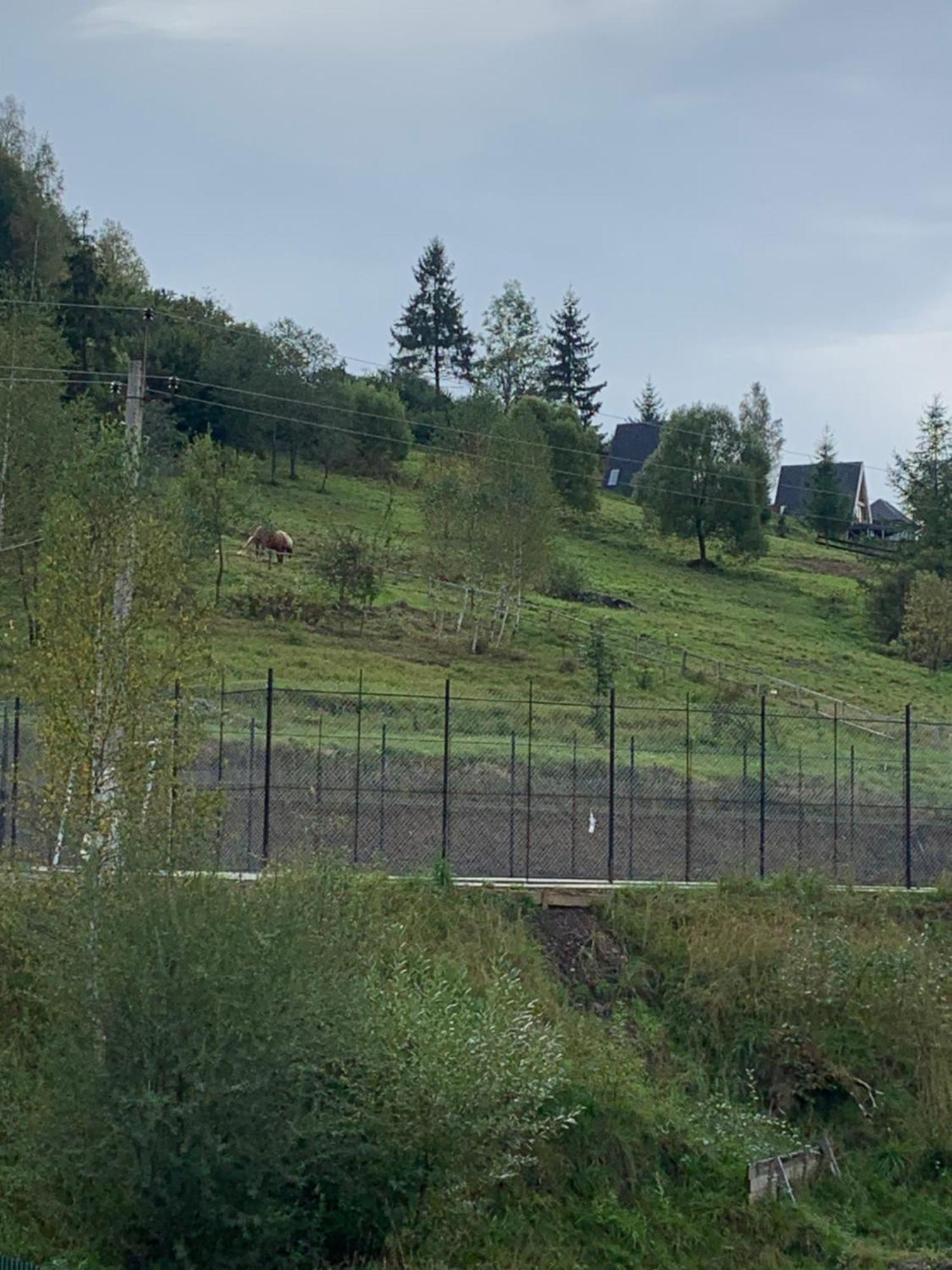 Аура Карпат Villa Slavske Bagian luar foto